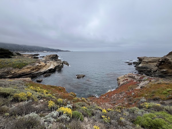 Sea Lion Point 4