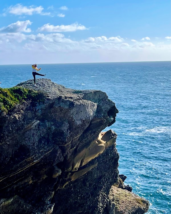 Sea Lion Point 3