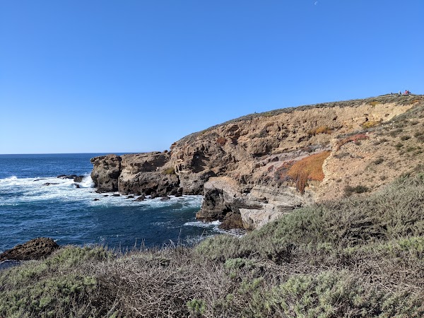 Sea Lion Point 2