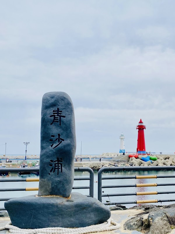Cheongsapo Twin Lighthouse (White) 2