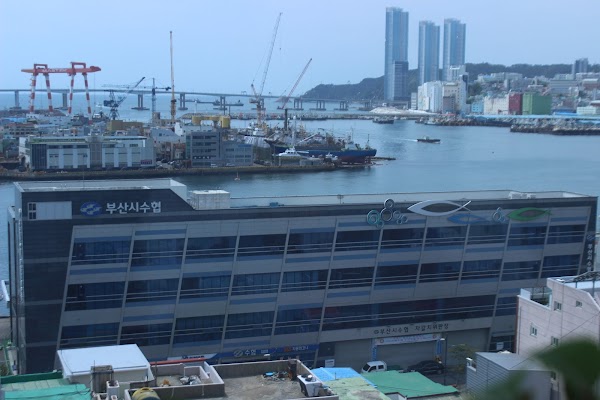 남포동 4