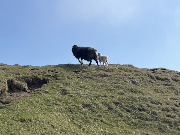 Dunnesdrangar 3