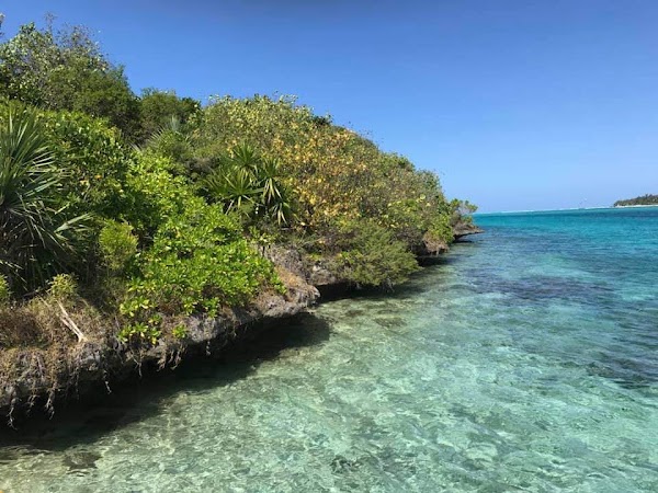 Ile aux Aigrettes