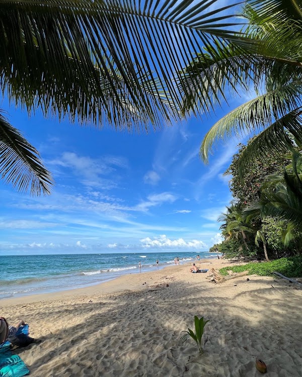 Playa Punta Uva Arrecife 3
