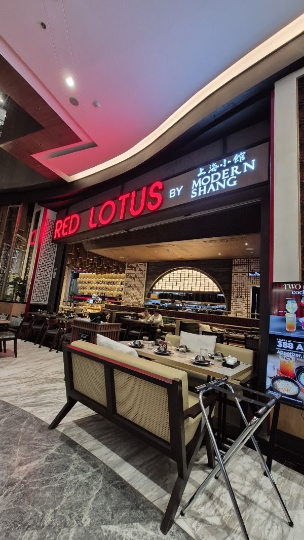 Red Lotus by Modern Shang