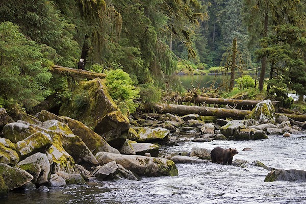 Tongass National Forest 5