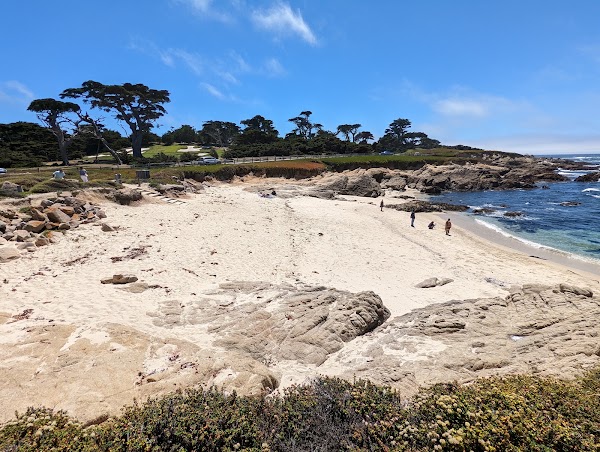 Fanshell Beach 1