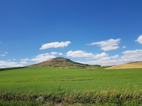 Steptoe Butte State Park Heritage Site 5
