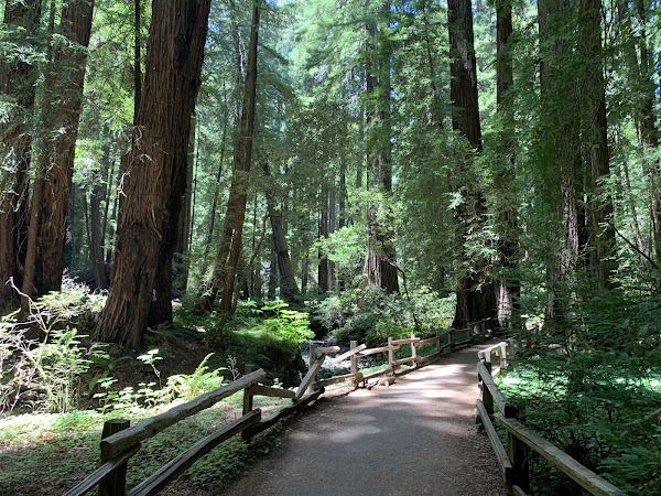 Fern Creek Trail