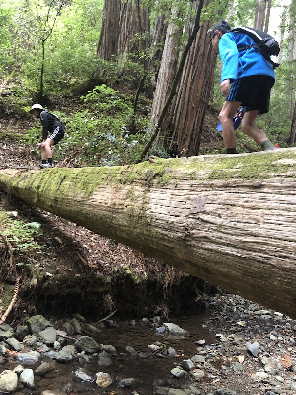 Fern Creek Trail 5
