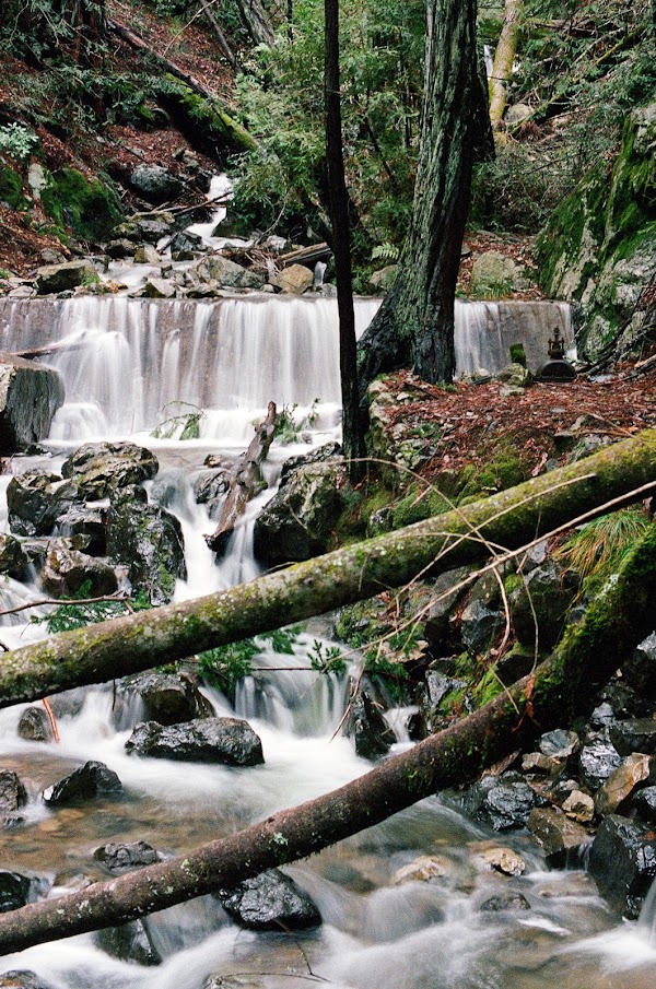 Fern Creek Trail 4