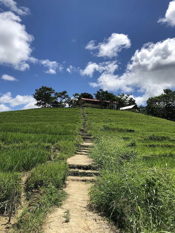 Cadapdapan Rice Terraces 3
