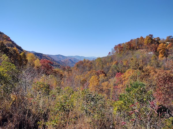 Maggie Valley