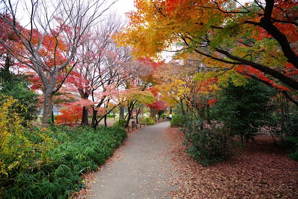 Umekōji Park 3