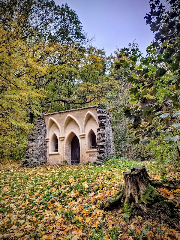 Cibulka 5