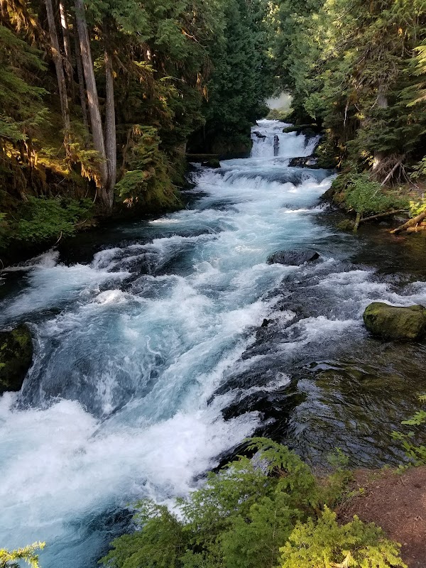 McKenzie River Trail 1