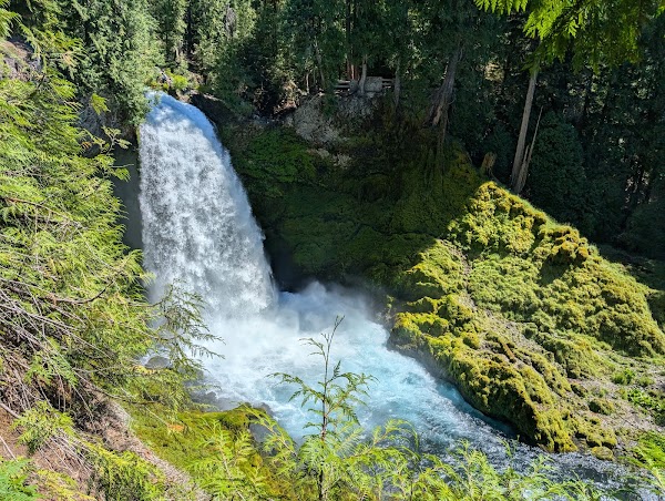 McKenzie River Trail 5