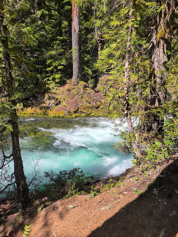 McKenzie River Trail 3