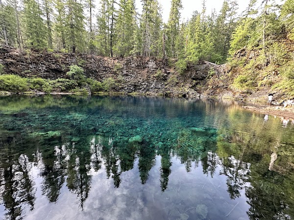 McKenzie River Trail 2