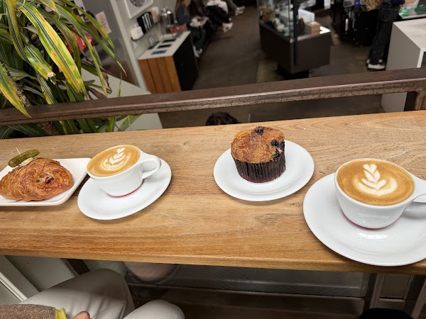 Intelligentsia Coffee Venice 5