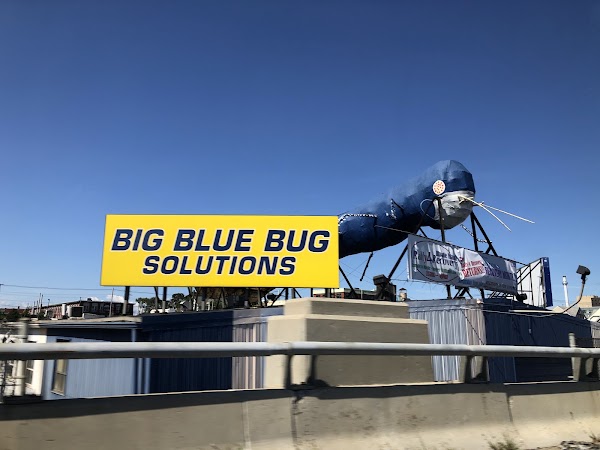 Big Blue Bug Solutions