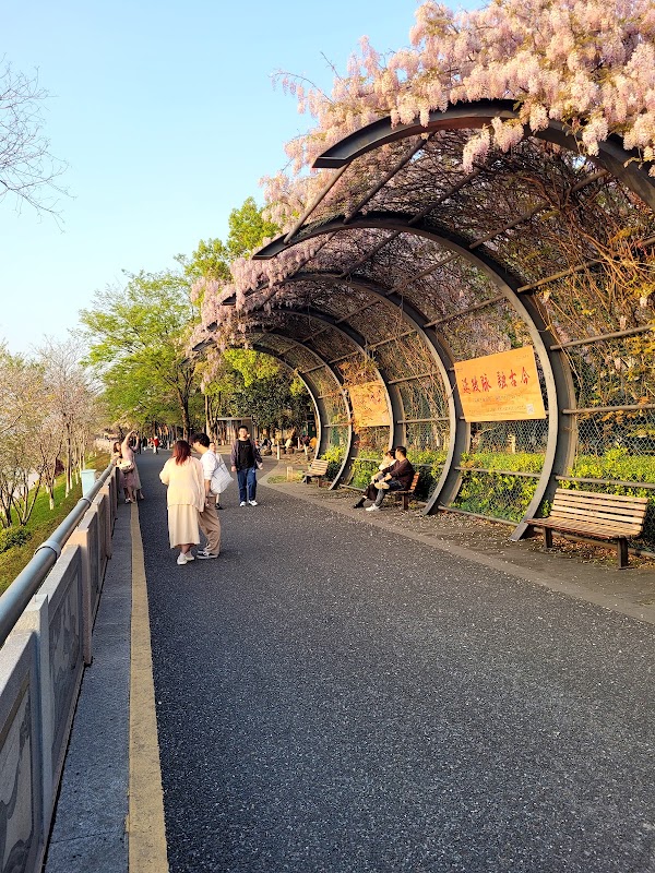 Quzhou 4