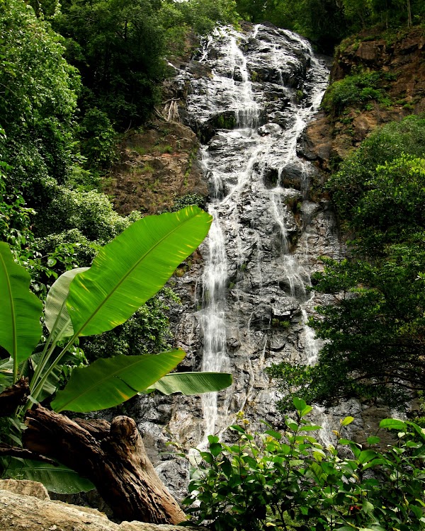Sarika Waterfall 3