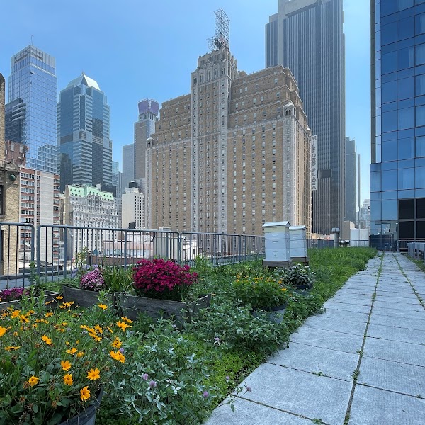 InterContinental New York Times Square, an IHG Hotel 3