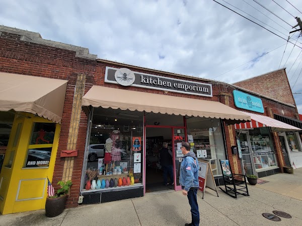 Common Housefly: A Kitchen Emporium