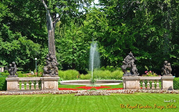 The Royal Garden 5