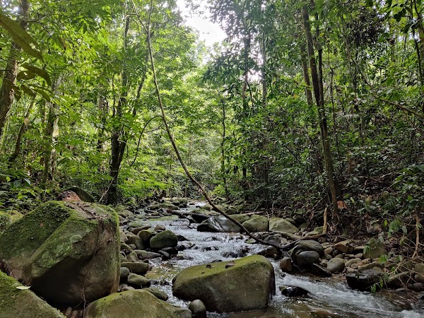Sungai Congkak Recreational Forest