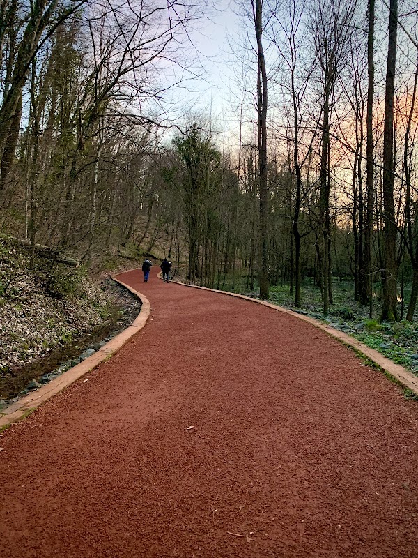 Belgrad Ormanı Koşu Parkuru 1
