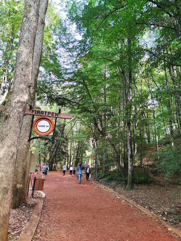 Belgrad Ormanı Koşu Parkuru 5