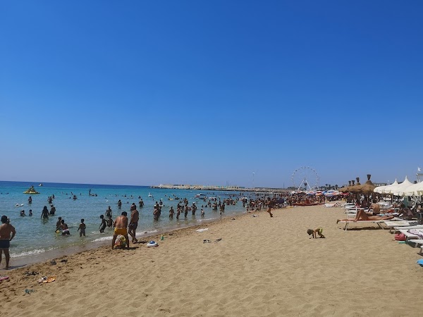 Campomarino 1