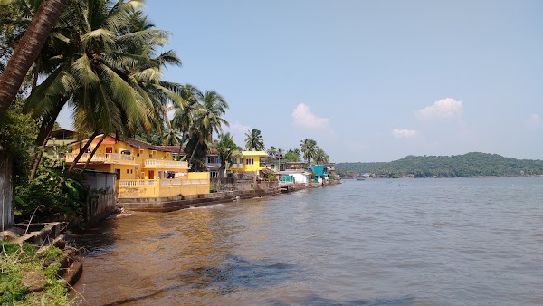 Goa 50