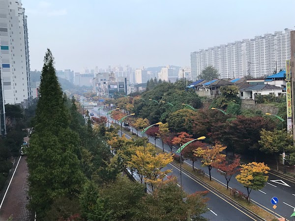 Gunsan-si 5