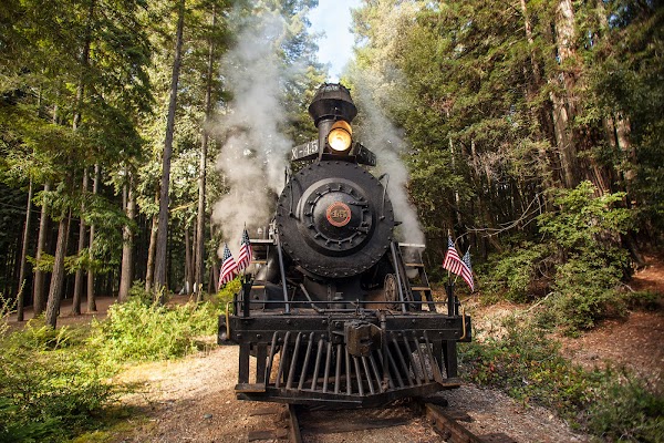 The Skunk Train