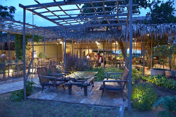 Tra Que Herb Garden