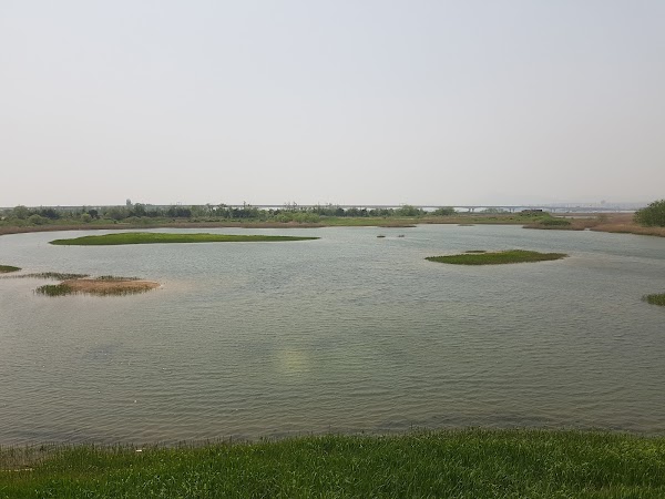 낙동강하구 에코센터 4