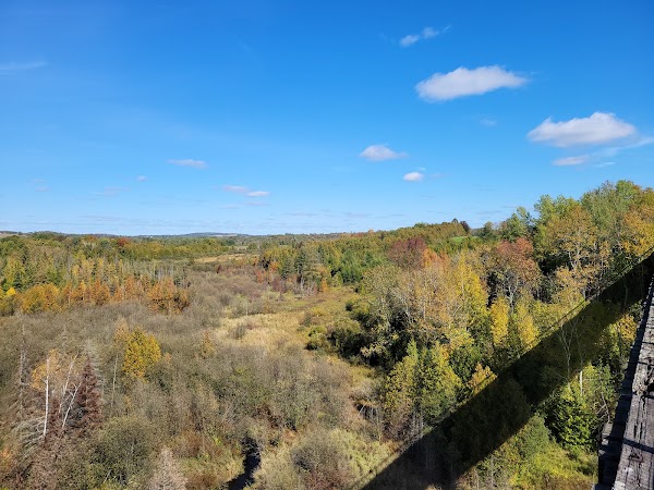 Doube's Trestle Bridge 5