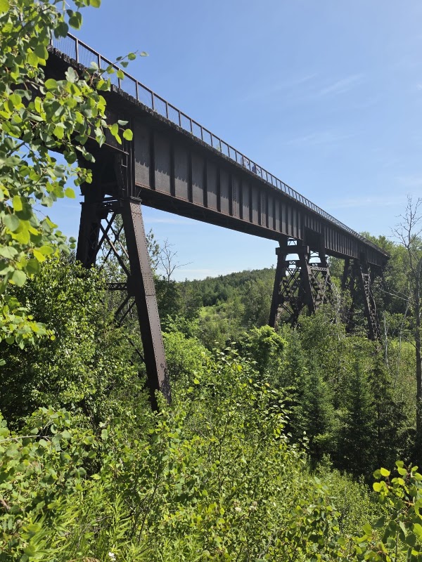 Doube's Trestle Bridge 2