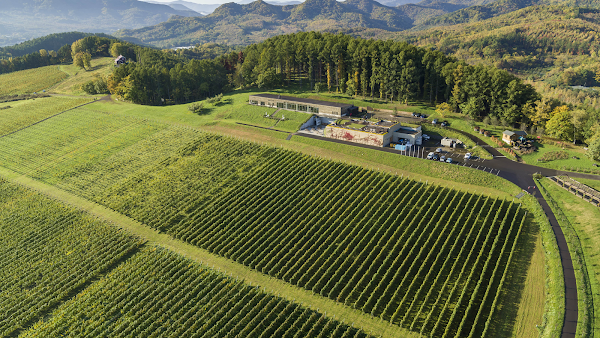 Niki Hills Winery 1