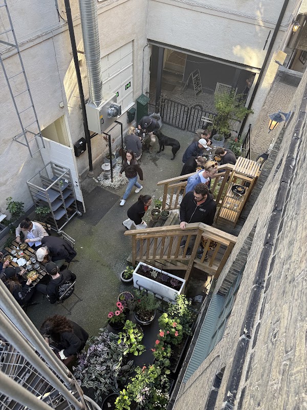 FIVE FLOWER NOODLE BAR 4