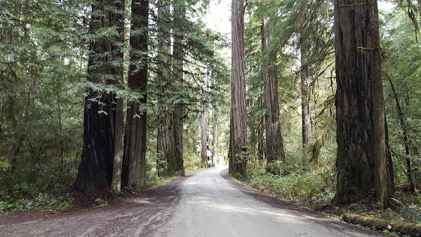 Howland Hill Road