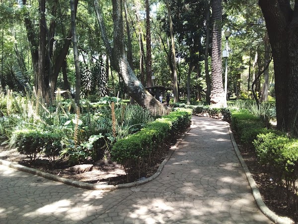 Parque mexico 4