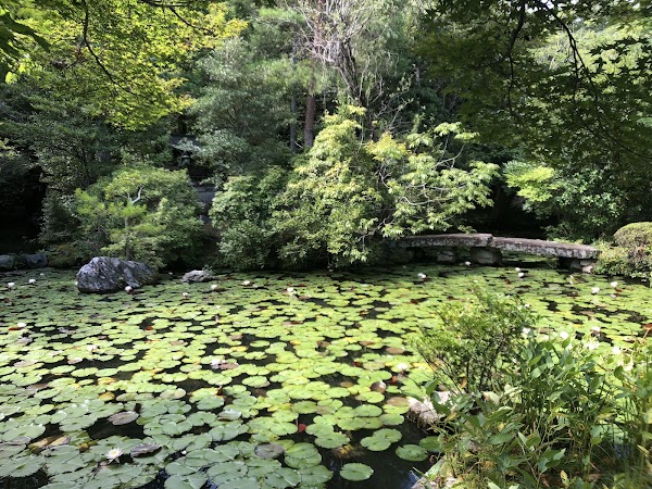 Konchi-in Temple 3