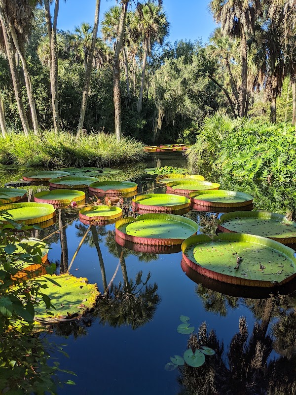 Bok Tower Gardens 4