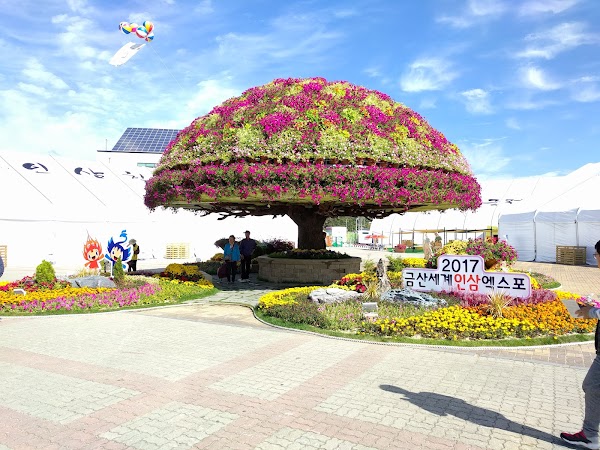 Geumsan Ginseng General Exhibition 1