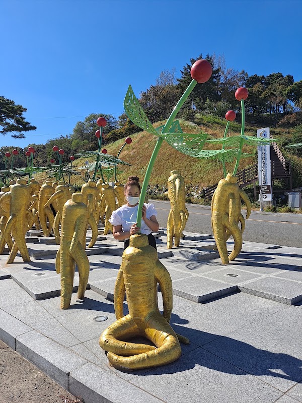 Geumsan Ginseng General Exhibition 4
