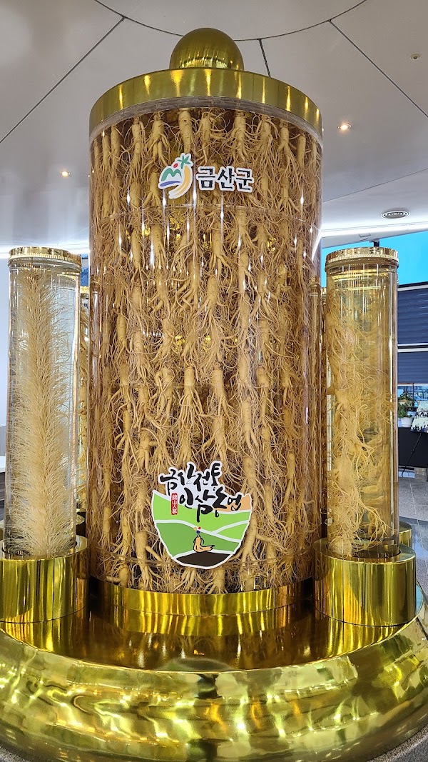Geumsan Ginseng General Exhibition 2